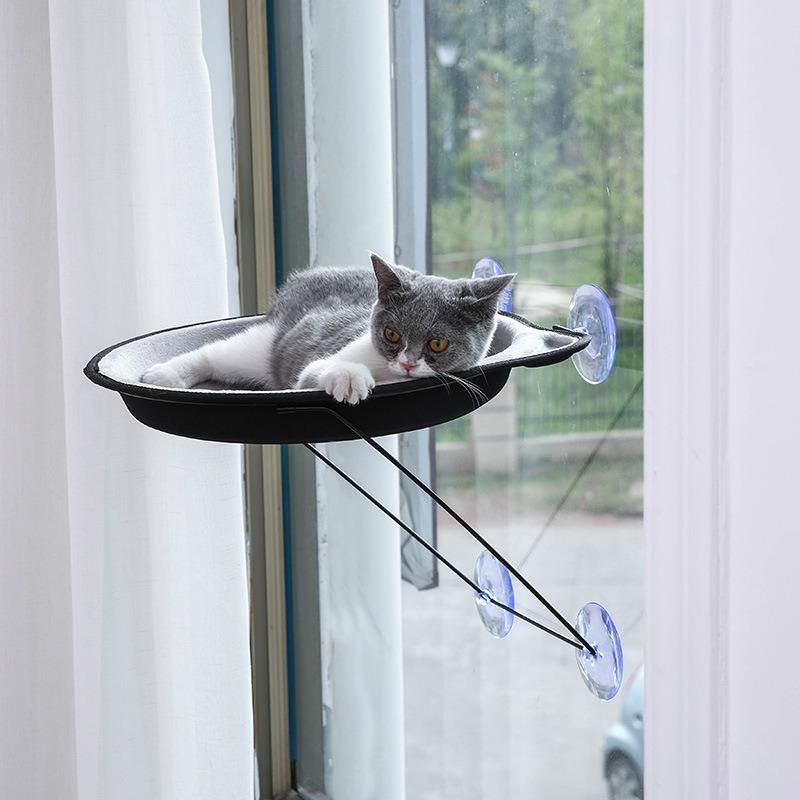 Suction Cup Hanging Cat Hanging Window Sill Cat Toy Cat Hammock