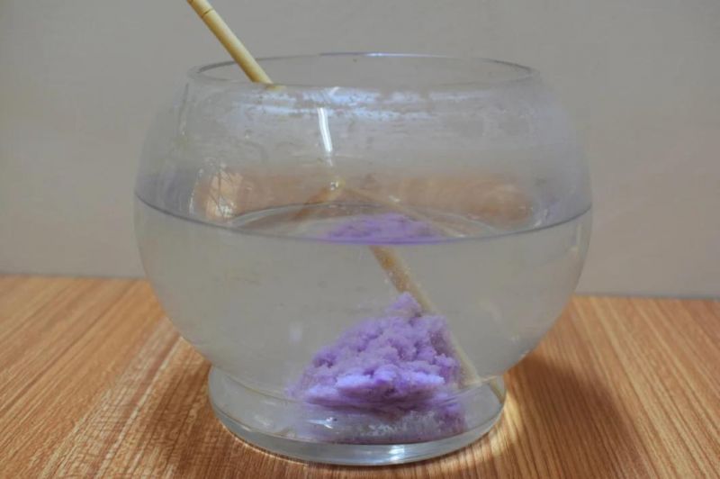 Nature Tofu Cat Litter with Lavender Scent