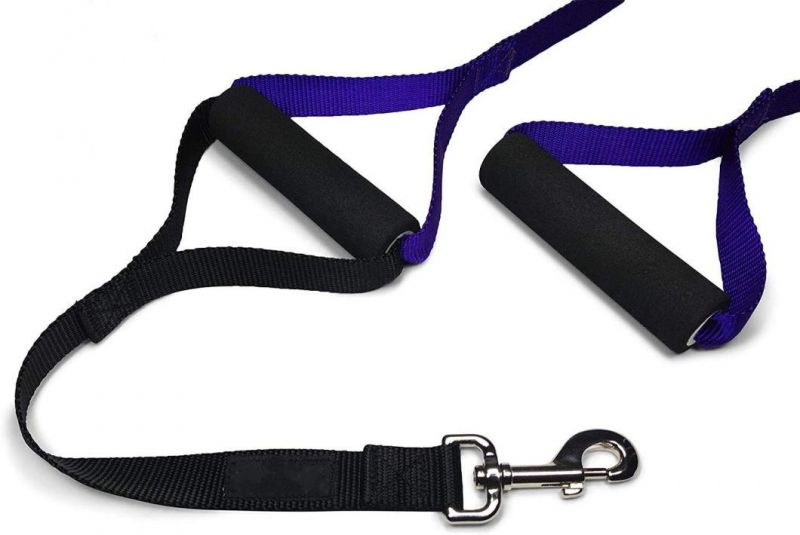 Double Soft Padded Handle Training Lead