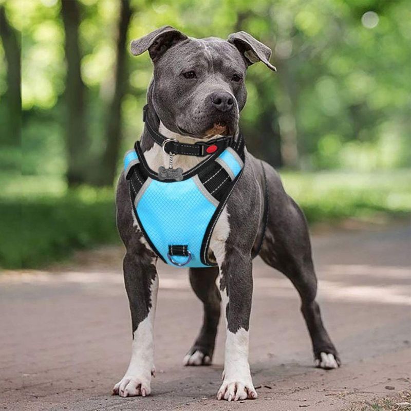 No Pull and Choke Free Easy to Wear Dog Harness