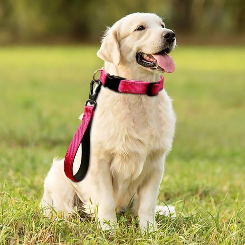 10 Inch Custom Design Reflective Nylon Luxury Heavy Duty Traffic Short Dog Leash
