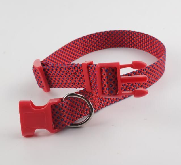 Hot Sell Polyester Dog Collar