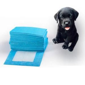 Dog and Puppy Training Pet Pad