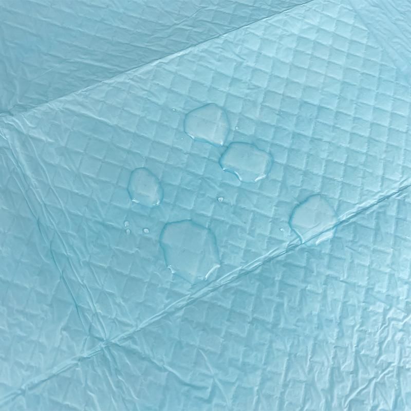 Top Selling Free Samples Pet Accessories Disposable Training PEE Pads for Dog
