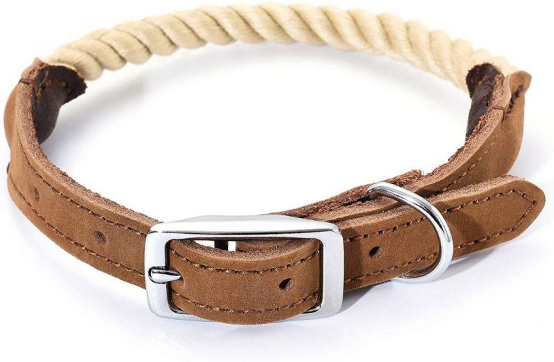 Premium Cotton Rope Dog Collar with Sturdy Metal Accessory