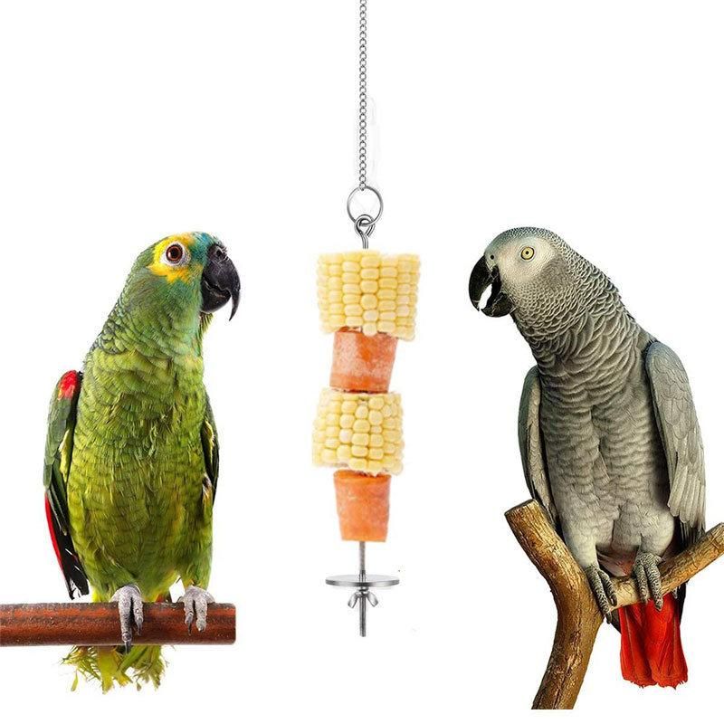 High Quality Pet Parrot Bird Food Supports Stainless Steel Spear Stick Meat Fruit Vegetable Skewers Fork