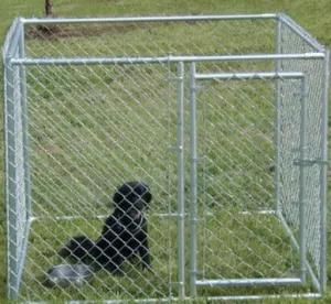 Chain Link Fence Cage, Dog Kennel Wholesale