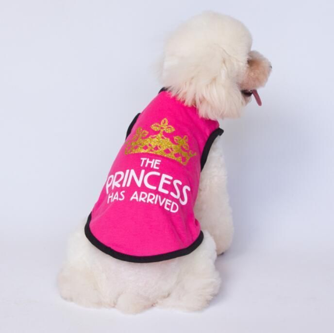 Hot Sell Adorable Summer Dog T-Shirt with Fast Delivery