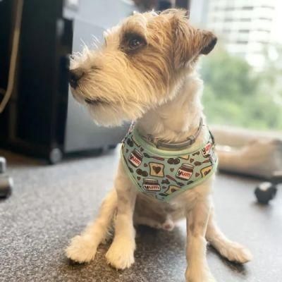 Customized Pattern Neoprene Fabric Designer Dog Harness Amazon Hot Sale