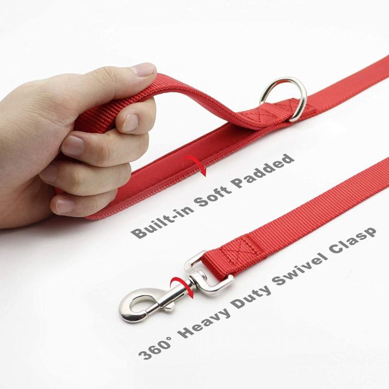 Highly Reflective Nylon Dog Collar with Matching Leash with Fast Delivery