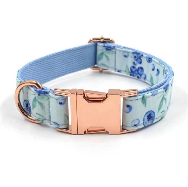 Ins Popular Style Pattern Dog Collar and Leash Set with OEM Branding