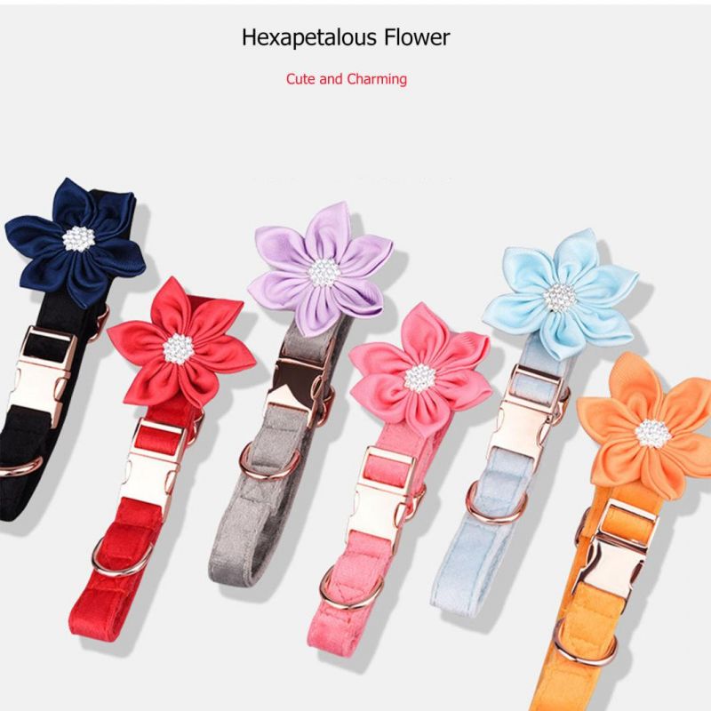 Nobal Pure Dog Collar for Party Gift Webbing Soft Dog Collar with Hexapetalous
