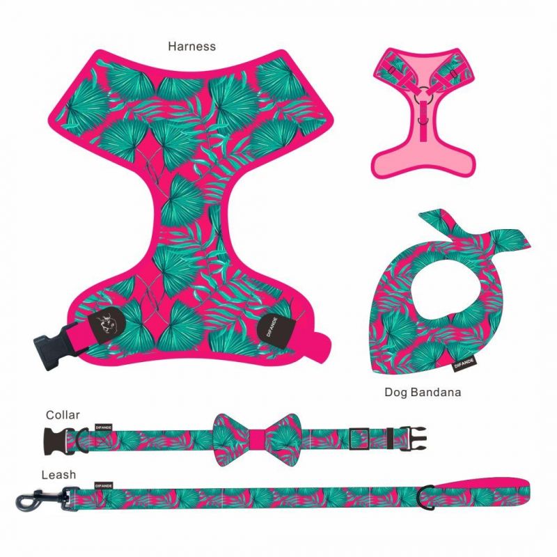 Dog Fashion Collar Custom Dog Luxury Collar Fit All Size Dogs Fashion Perros Harness Pet Products Collar and Leash Set