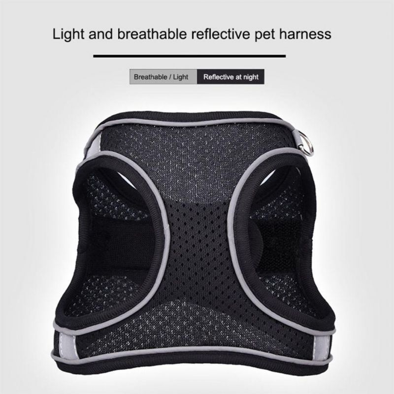 Latest High Quality Breathable Reflective Pet Harness with Matching Pet Leash