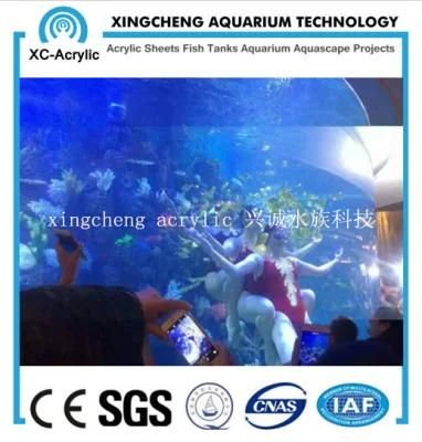 Large Transparent Round Acrylic Aquarium Restaurant Project Price