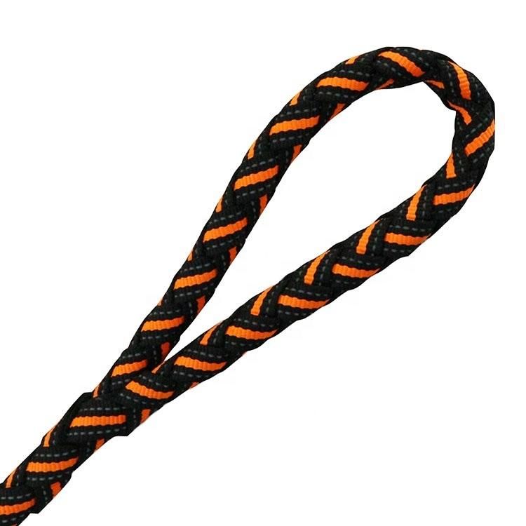 2022 New Design Polyester Fashion Braided Pet Dog Leashes