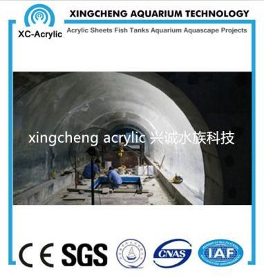 Customized Acrylic Tunnel Aquarium