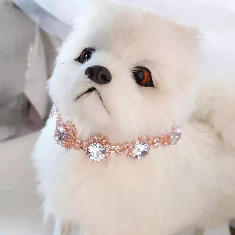 Bling Diamond Dog Chain Necklace Cat Jewelry Pet Accessories Decoration Collar Rose Gold