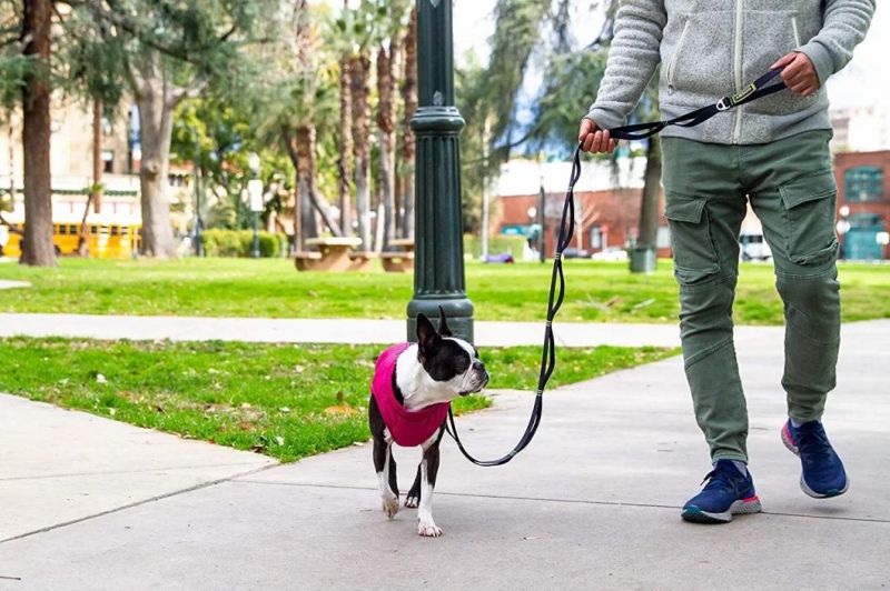 Dog Sweater with Zipper Closure Wind Breaker Dog Coat