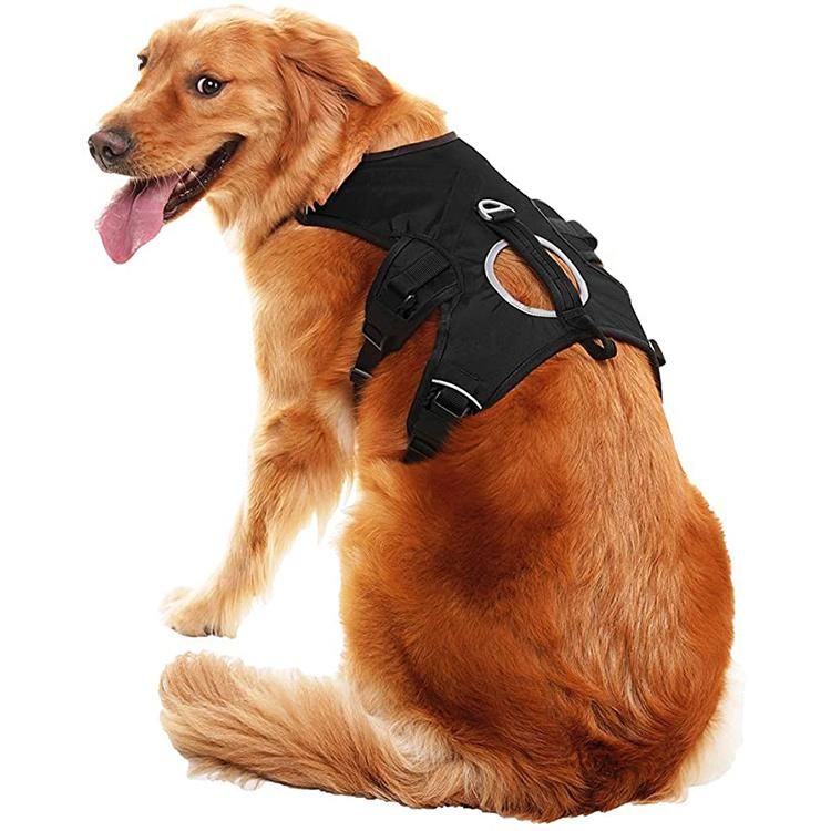 2021 Big Dog Custom Outdoor Reflective Adjustable Vest with Durable Handle Luxury Dog Harness