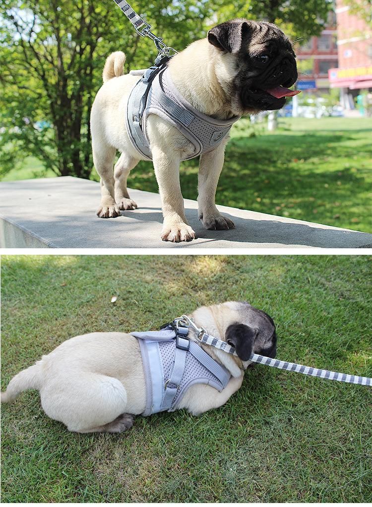 Factory Personalized Most Popular Super Comfort Pet Accessory Breathable Dog Harness with Plastic Buckle