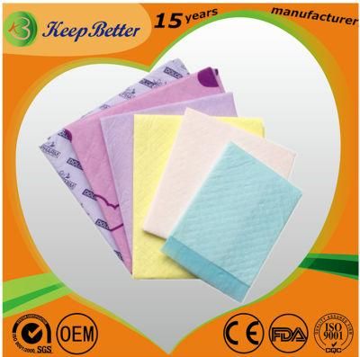 60X45cm Large Size Most Absorbent Puppy Pet Wee Training Pads