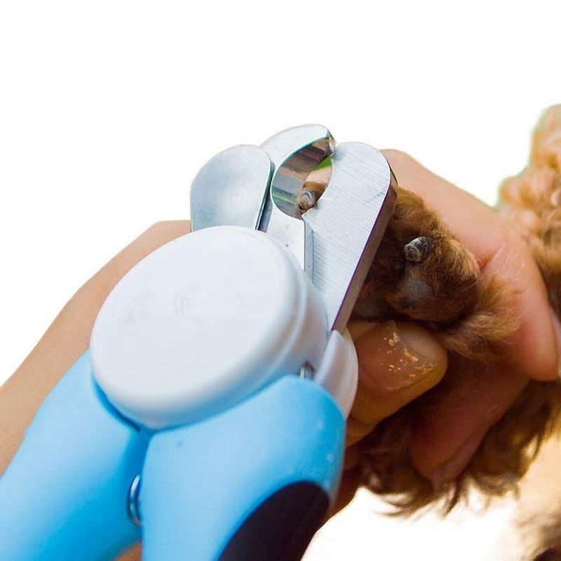 Dog Nail Clippers and Trimmer for Medium and Large Breeds