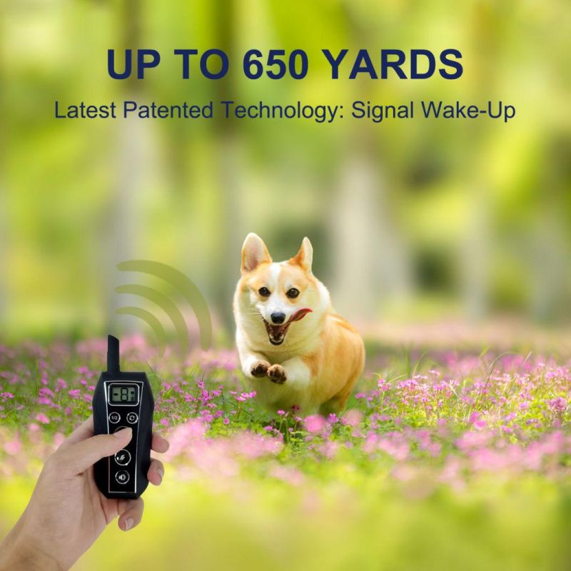 Amazon Top Seller Best Waterproofe Electronic Remote Electric Pet Dog Training Collars