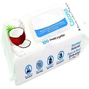 100 PCS OEM Cleaning Pet Wet Wipes with Varied Ingrdients and Scents