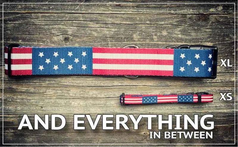 Classic USA Flag Dog Collar Puppy Collars with Reflective Logo