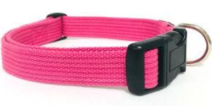 Personalised Dog Collar, Cat Collar, Padded Pet Collar