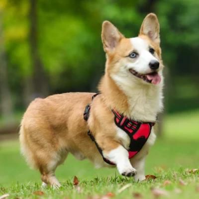 No-Pull Design High Quality Dog Harness