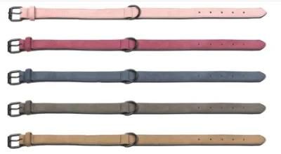 Hunting Dog Accessories Top Grade Custom Waterproof Pet Collar