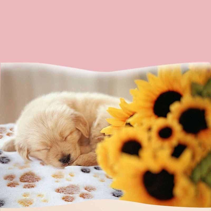 Cute Dog Bed Mats Soft Fleece Warm Pet Blanket Sleeping Beds Cover for Small Medium Dogs Cats