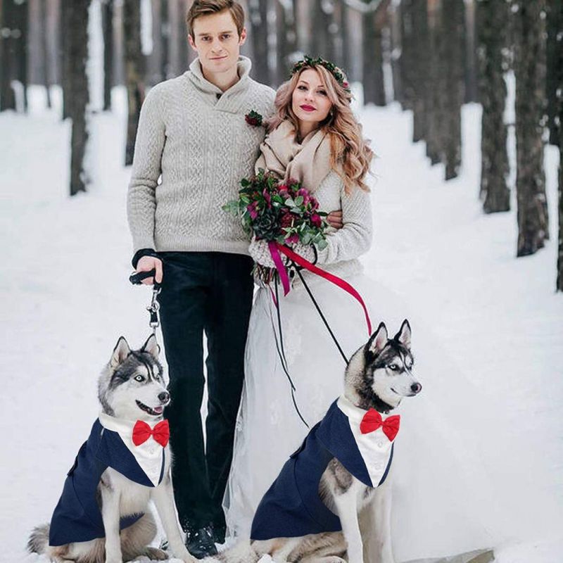Dog Suit Summer Thin Suit Shirt Suit Wedding Dress Dog Cat Spring Summer Clothes Fashions Pets Clothes