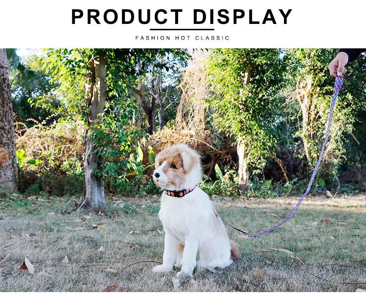Fancy Training Running Strong Adjustable Custom Nylon Cute High Quality Dog Leash Pet