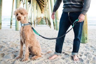 Hands Free Dog Leash for Running Working Outdoors for Dog