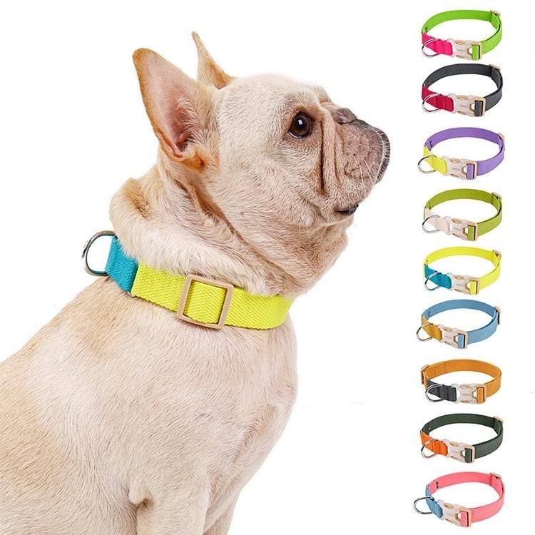 Soft Neck Adjustable Colorblock Dog Collar