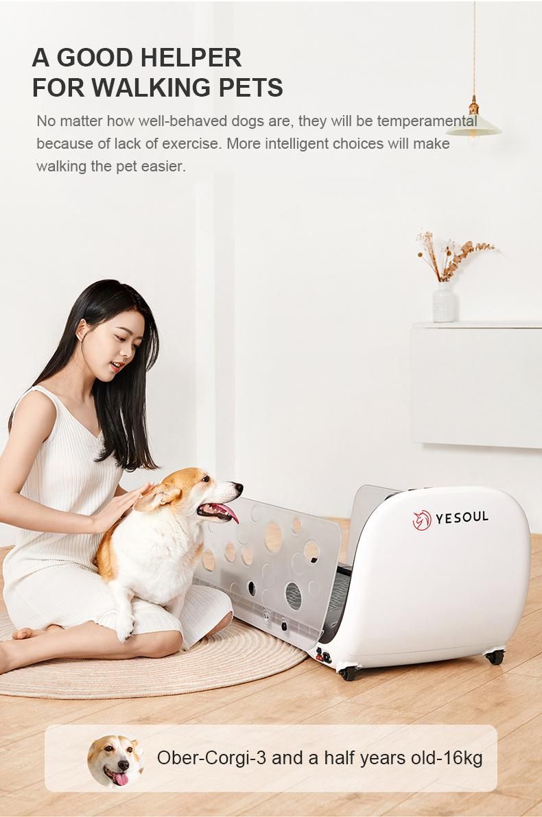 Pet Treadmill for Dog Automatic Feeding Yesoul Brand