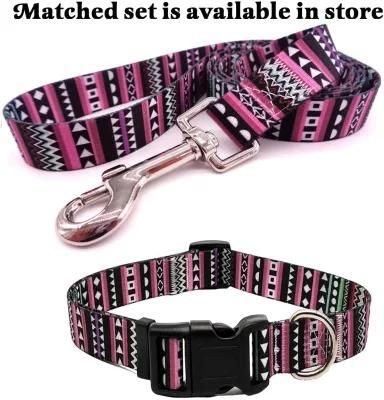 Amazon Supplier Promotional Pet Products Fashion Dog Collar and Leash
