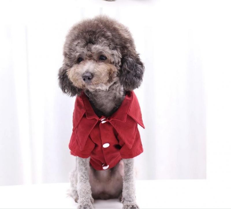 Luxury Dog Jacket Dog Clothes Popular Jacket Jeans Dresses for Cat Pet Clothing