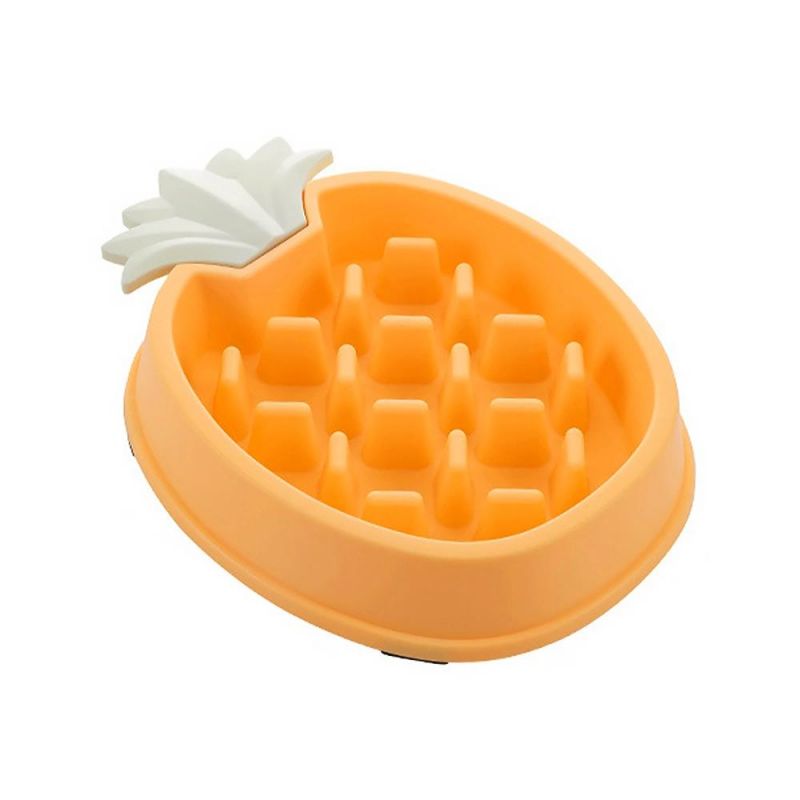 Five Color Pet Slow Feeding Bowl