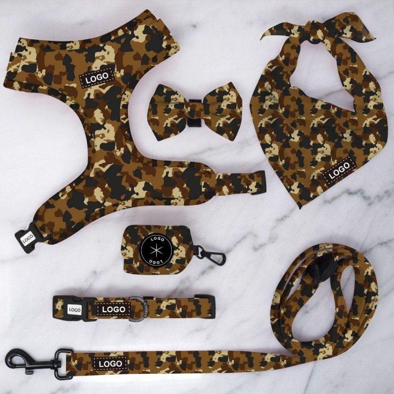 Pet Accessories Fashion Colorful Luxury Collar Leash Harnewss Set Metal Buckle