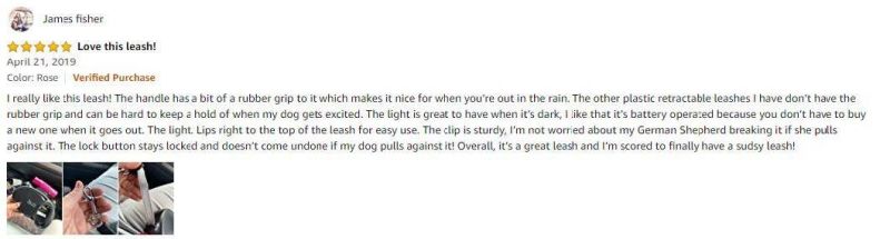 Retractable Lead Protective Bungee Leash for Medium Large Dogs