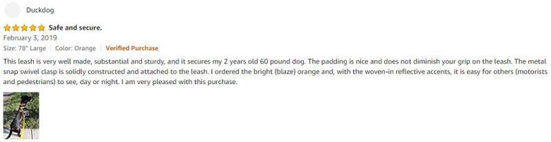 Premium Quality Dog Leash for Pet Owners