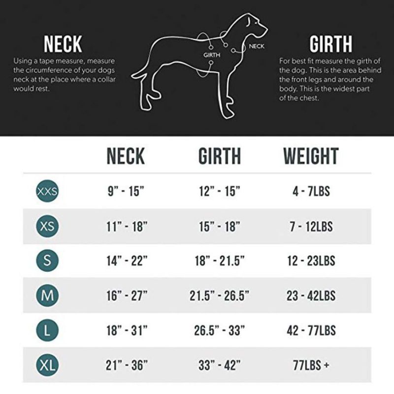 OEM All Kinds of Pet Products, Pet Accessories, Pet Supplier