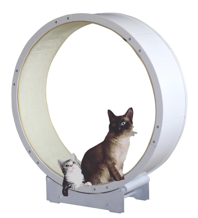 Wholesale Wooden Pet Supplies Toy Pet Cat Exercise Wheel