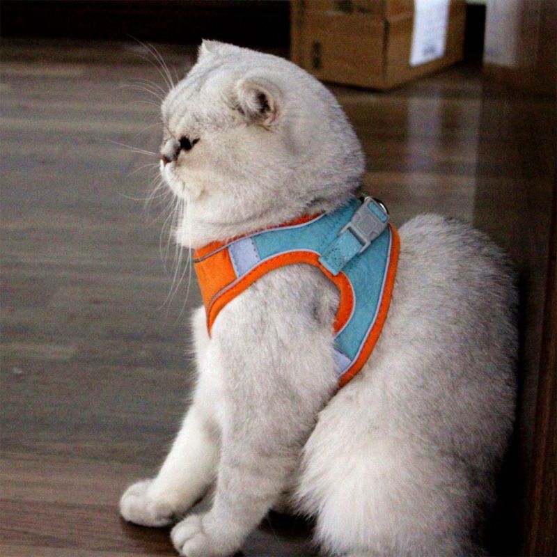 Kitten Vest Harness Easy Control Night Safe Pet Harness with Reflective Strap