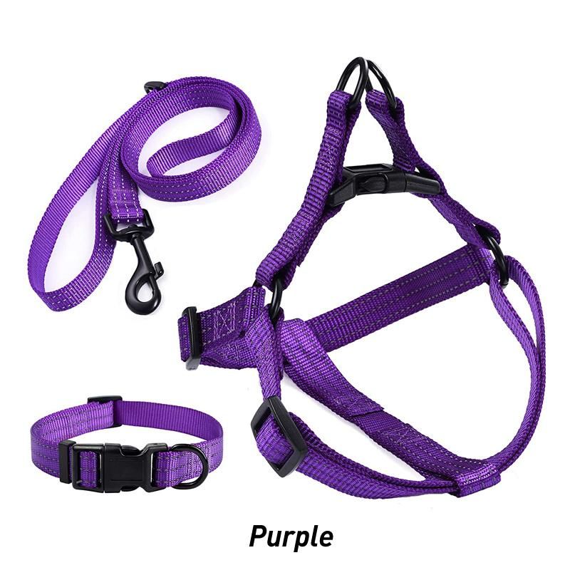 Personalized Reflective Adjustable Nylon Pet Dog Collar Leash Harness Set