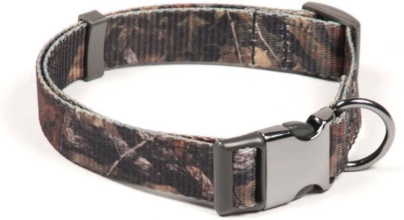 Strategy Teal Camo Hunting Pattern Metal Buckle Dog Collar